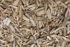 biomass boilers Butterton