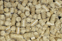 Butterton biomass boiler costs